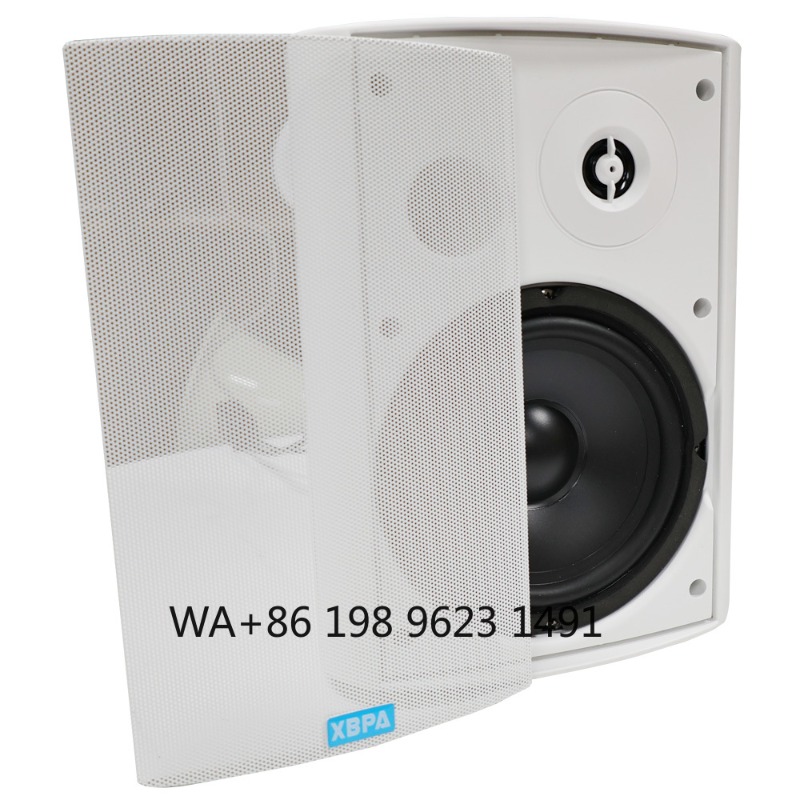 5.1 Kablosuz WiFi Duvar Tavan  - Home Theater Speaker incelemesi ve fiyatı