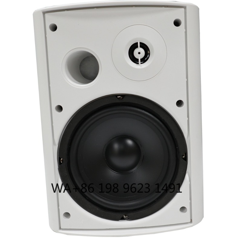 5.1 Kablosuz WiFi Duvar Tavan  - Home Theater Speaker incelemesi ve fiyatı
