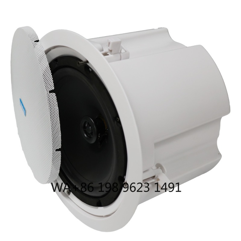 5.1 Kablosuz WiFi Duvar Tavan  - Home Theater Speaker incelemesi ve fiyatı